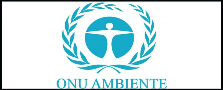 ONU concurso de propuestas mediambientales