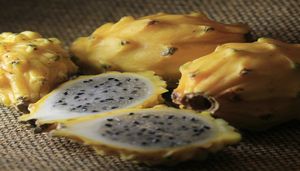 Facilidades para exportadores de Pitahaya ecuatoriana