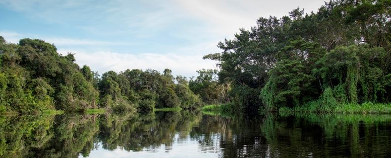 Reserva de Producción de Fauna Cuyabeno, y del Parque Nacional Yasuní