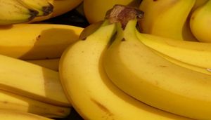 Expectativas de exportaciones de banano al mercado ruso
