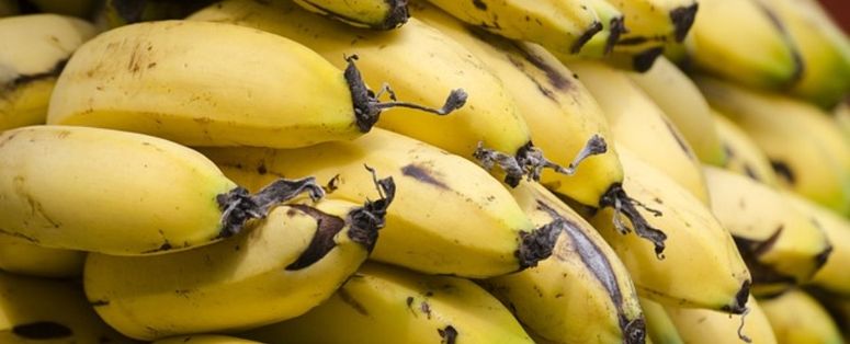 El banano ecuatoriano no tiene competencia en Rusia