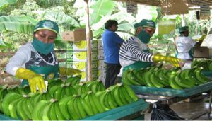 Primer Encuentro Internacional de las y los Trabajadores Bananeros