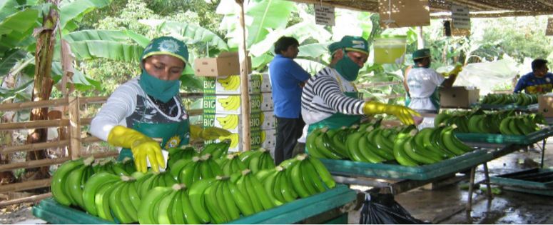 Primer Encuentro Internacional de las y los Trabajadores Bananeros