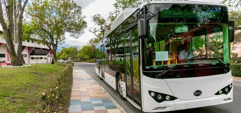 Proyecto de buses eléctricos