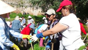 "Acelerado de Agricultura Orgánica con enfoque Urbano y Periurbano"