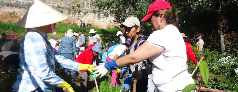 "Acelerado de Agricultura Orgánica con enfoque Urbano y Periurbano"