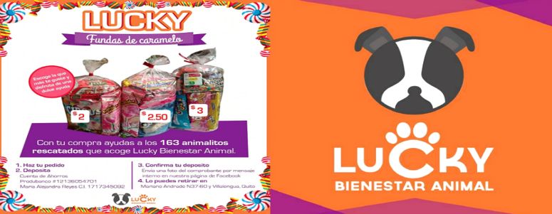 Fundas de Caramelo navideñas para rescatar animales