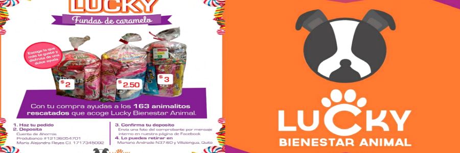 Fundas de Caramelo navideñas para rescatar animales