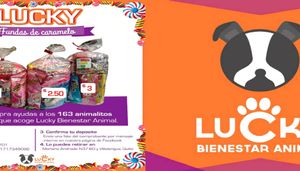 Fundas de Caramelo navideñas para rescatar animales