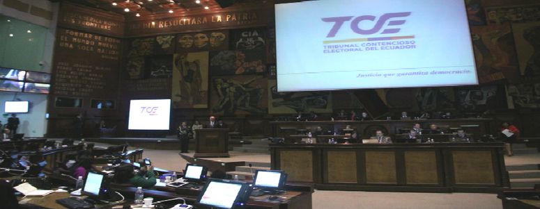 El Tribunal Contencioso Electoral (TCE) admitió la apelación que presentó la facción del oficialismo