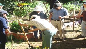 Agricultura orgánica