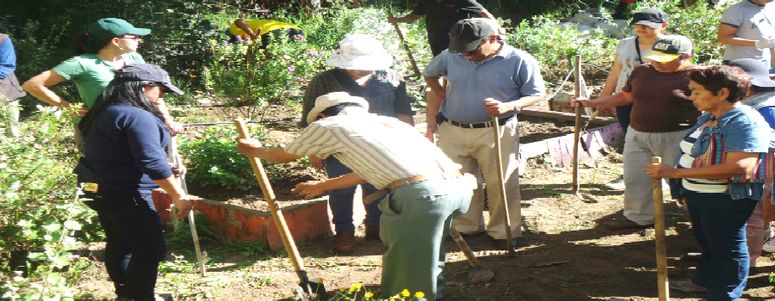 Agricultura orgánica