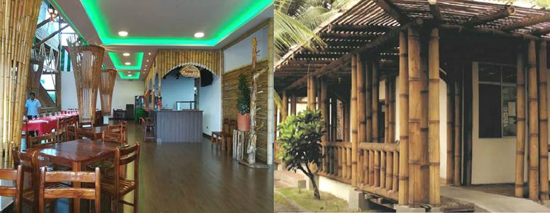 INBAR (Red Internacional del Bambú y el Ratán) es promover y apostar el uso del bambú 