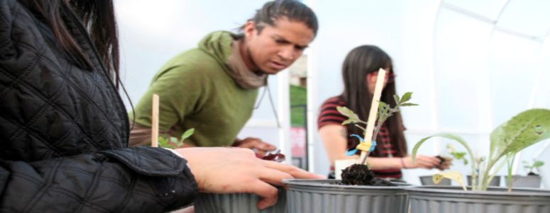 Huerto acuapónico fue inaugurado en la CAC de Quito