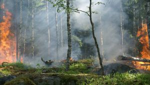 Curso de Formación de Brigadas Forestales para Prevención de Incendios finaliza