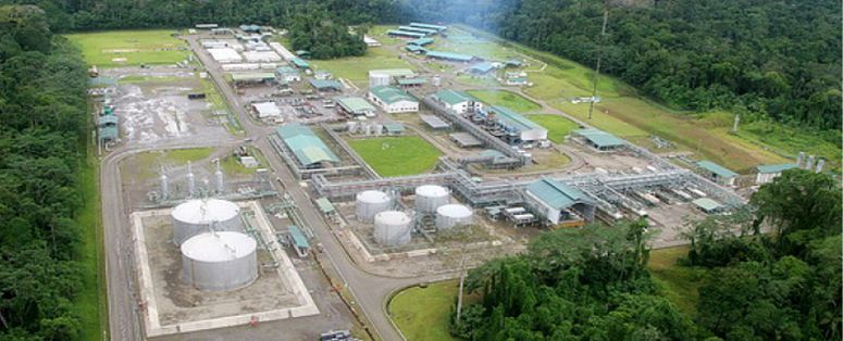 Petroamazonas informó que 25 empresas privadas han expresado interés en campos petroleros