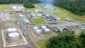 Petroamazonas informó que 25 empresas privadas han expresado interés en campos petroleros