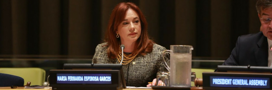 ONU canciller ecuador