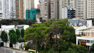 revista gestión