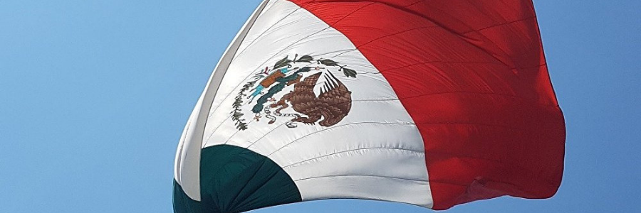 revista gestión