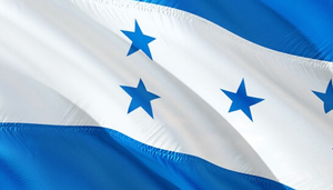 Revista Gestión