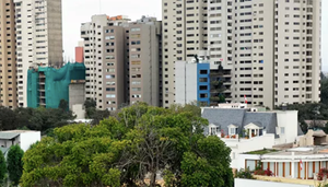 Revista Gestion