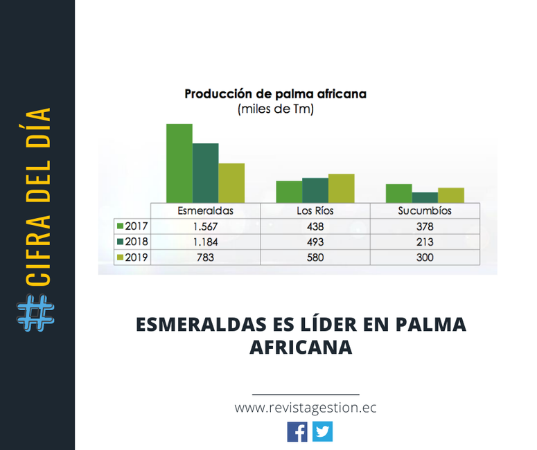 Revista Gestion