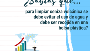 Revista Gestion