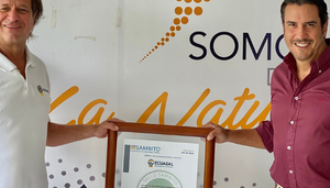 Revista Gestion