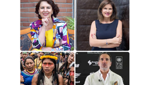 Revista Gestion