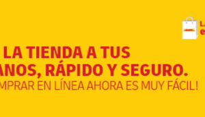 Revista Gestion