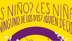 Revista Gestion