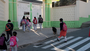 Revista Gestion