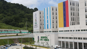 Revista Gestion