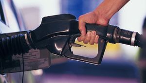 Gasolina
