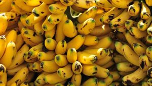 Banano