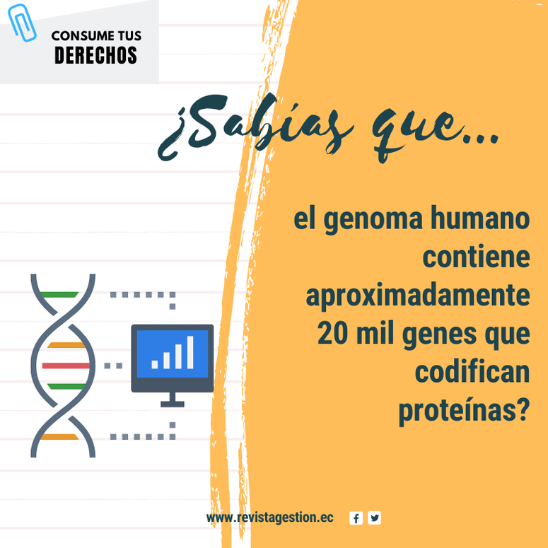 Revista Gestión El Código Del Genoma Humano Por Fin Está Completo