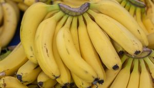 Banano