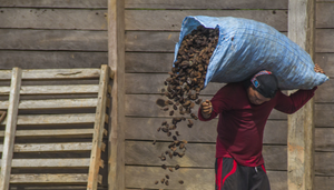 Agricultura