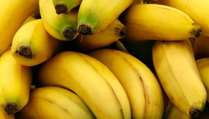 Banano