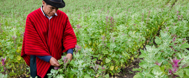 Agricultura