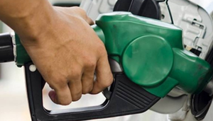 Gasolina