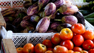 Alimentos