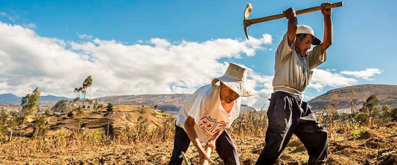 Agricultura