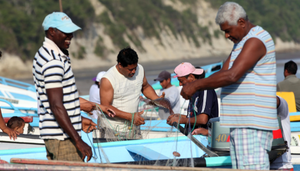Pesca
