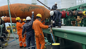 Petróleo