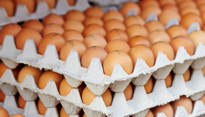 Huevos