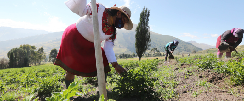 Agricultura