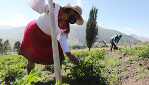 Agricultura