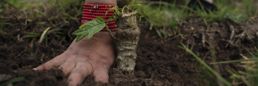 Agricultura